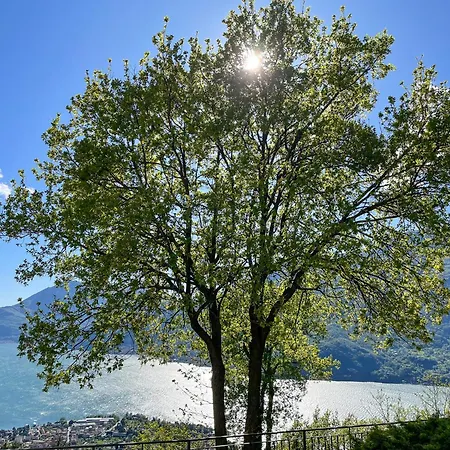 Paradiso Panoramico *